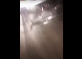 ŠOKANTAN SNIMAK KRUŽI DRUŠTVENIM MREŽAMA: Zbog ovoga od jutros hitno zasjeda MUP USK (UZNEMIRUJUĆI SADRŽAJ)